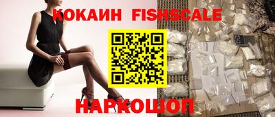 индика Камышлов