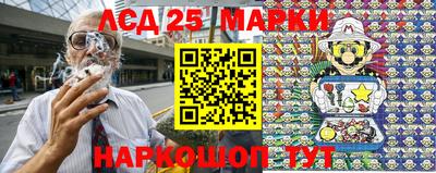 индика Камышлов
