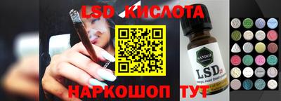 индика Камышлов