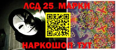 индика Камышлов