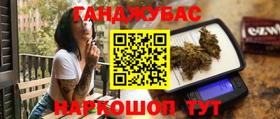 индика Камышлов