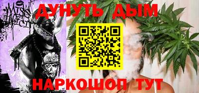 индика Камышлов