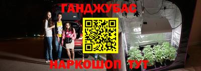 индика Камышлов