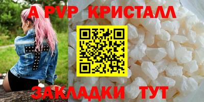 индика Камышлов
