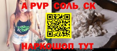 индика Камышлов