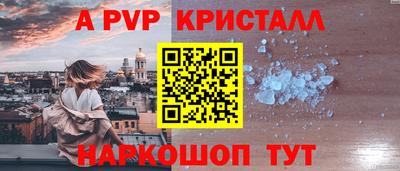 индика Камышлов