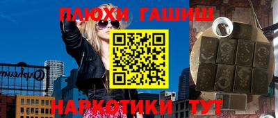 индика Камышлов