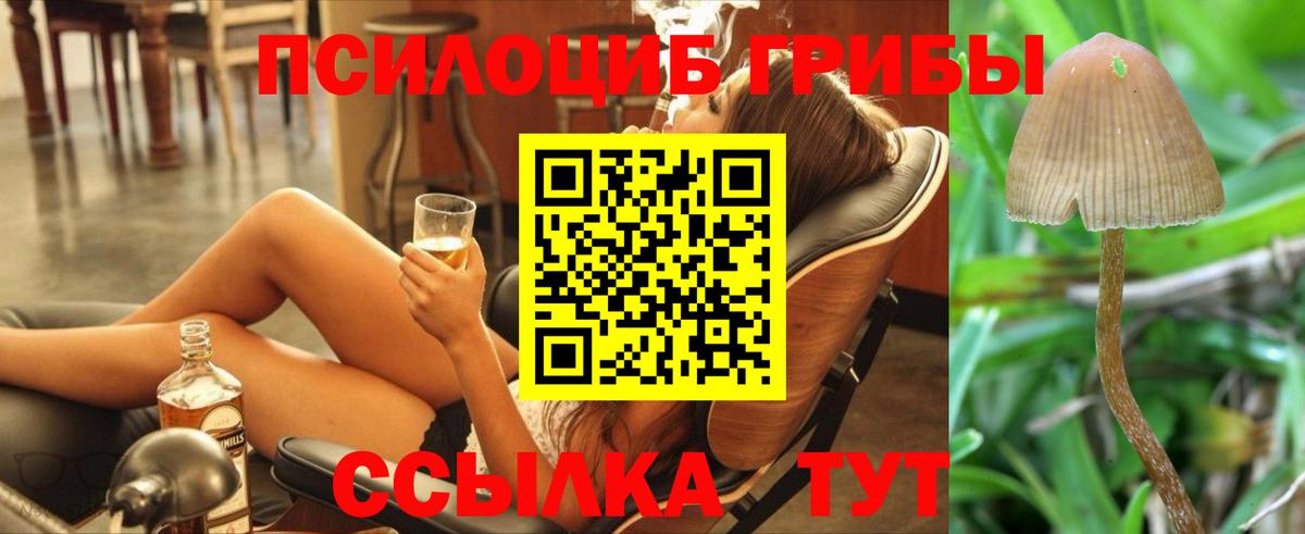 Кумертау  Галлюциногенные грибы ЛСД  Вход с VPN  Псилоцибиновые грибы Psilocybe 